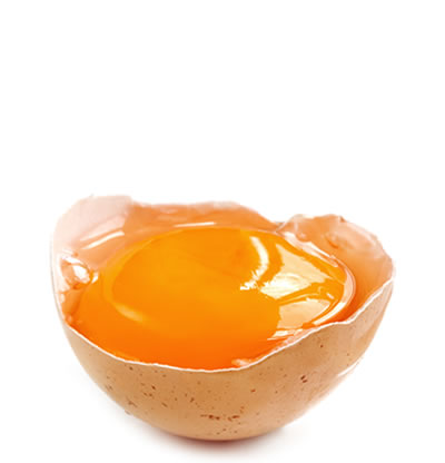proteina de huevo