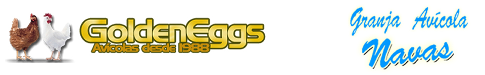 avicola golden eggs